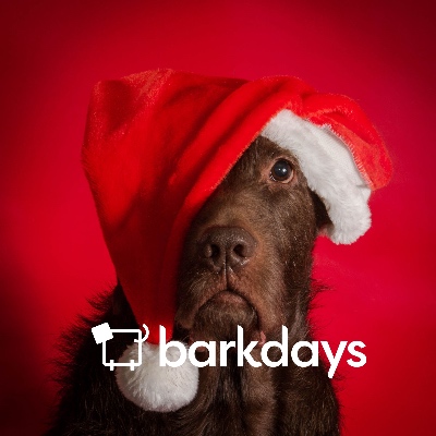Small Businesses Barkdays in  